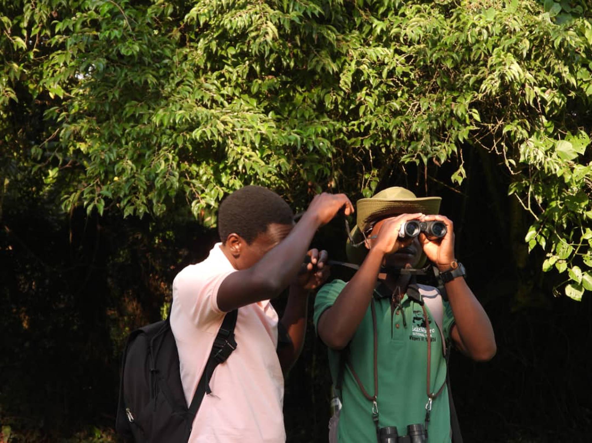 Entebbe Birding Club activity 25